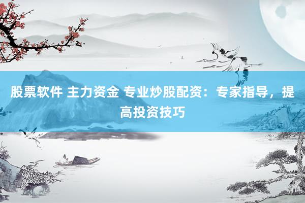股票软件 主力资金 专业炒股配资：专家指导，提高投资技巧
